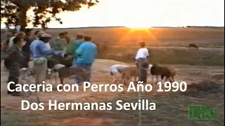 Caceria Deportiva con Perros Año 1990 Dos Hermanas Sevilla
